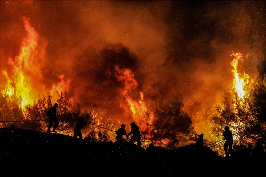 Δάσος Στροφυλιάς: Έγινε καμένη γη από «Διαμάντι της Πελοποννήσου…» - Φωτογραφία 5