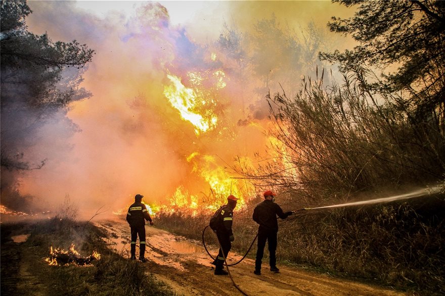 Δάσος Στροφυλιάς: Έγινε καμένη γη από «Διαμάντι της Πελοποννήσου…» - Φωτογραφία 6