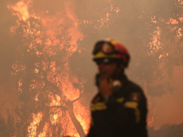 Εθελοντές πυροσβέστες εκβίαζαν για «χρυσά» συμβόλαια με δήμους βάζοντας φωτιές! - Φωτογραφία 1