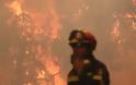 Εθελοντές πυροσβέστες εκβίαζαν για «χρυσά» συμβόλαια με δήμους βάζοντας φωτιές!