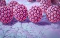 Πολύ αποτελεσματικός είναι ο εμβολιασμός κατά του HPV-Νέα δεδομένα!