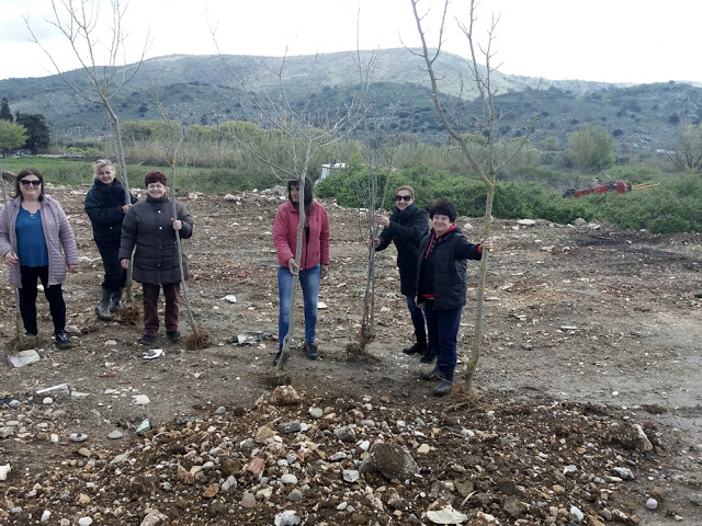 Πραγματοποιήθηκε η δεντροφύτευση απο τον Σύλλογο ΓΥΝΑΙΚΩΝ ΑΣΤΑΚΟΥ -ΦΩΤΟ - Φωτογραφία 2