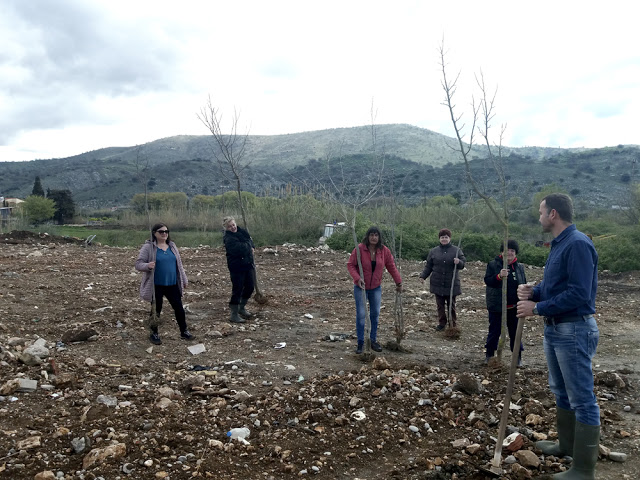 Πραγματοποιήθηκε η δεντροφύτευση απο τον Σύλλογο ΓΥΝΑΙΚΩΝ ΑΣΤΑΚΟΥ -ΦΩΤΟ - Φωτογραφία 5