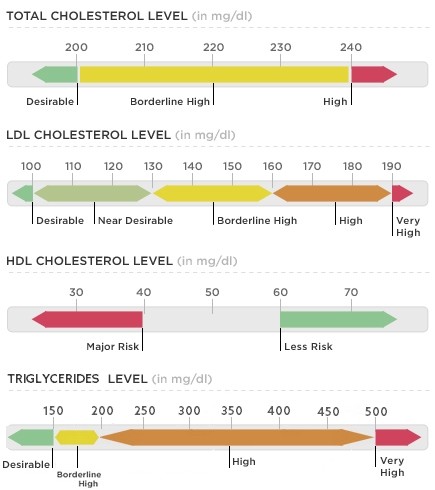 Ποια είναι τα φυσιολογικά όρια για χοληστερίνη και τριγλυκερίδια; Πώς υπολογίζονται; - Φωτογραφία 2