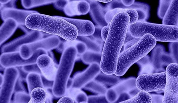 Μυστηριώδες μικρόβιο εξαπλώνεται αθόρυβα σε όλο τον κόσμο - Φωτογραφία 1