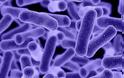 Μυστηριώδες μικρόβιο εξαπλώνεται αθόρυβα σε όλο τον κόσμο