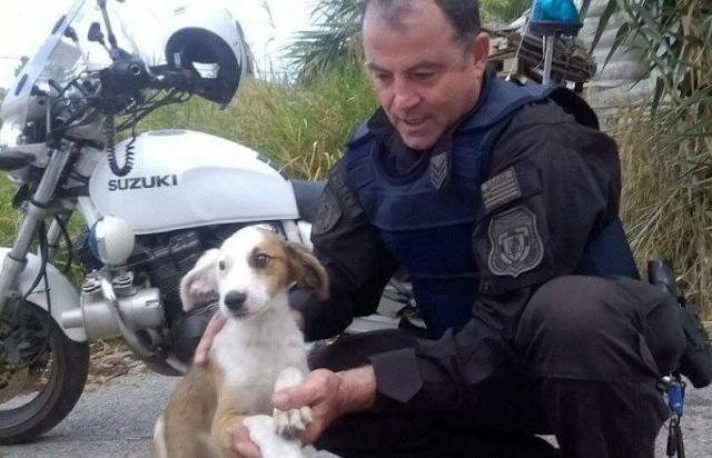 Έλληνας Αστυνομικός υιοθέτησε το κουτάβι που βρήκε να τρέχει έντρομο στην Εθνική Οδό - Φωτογραφία 2
