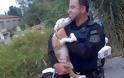 Έλληνας Αστυνομικός υιοθέτησε το κουτάβι που βρήκε να τρέχει έντρομο στην Εθνική Οδό - Φωτογραφία 3