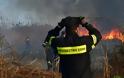 ΜΕΣΣΗΝΙΑ:Τέλος από 30 Απριλίου οι φωτιές - Αρχίζει η αντιπυρική περίοδος