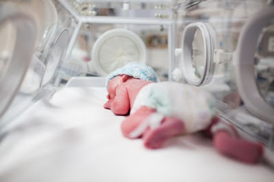 Το μωρό από «τρεις γονείς» που γεννήθηκε στην Ελλάδα διχάζει τους επιστήμονες - Φωτογραφία 1