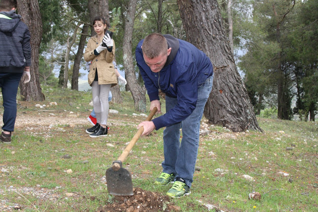 Δεντροφύτευση στο ΔΑΣΥΛΛΙΟ από τους μαθητές του Γυμνασίου ΚΑΤΟΥΝΑΣ -ΦΩΤΟ - Φωτογραφία 28