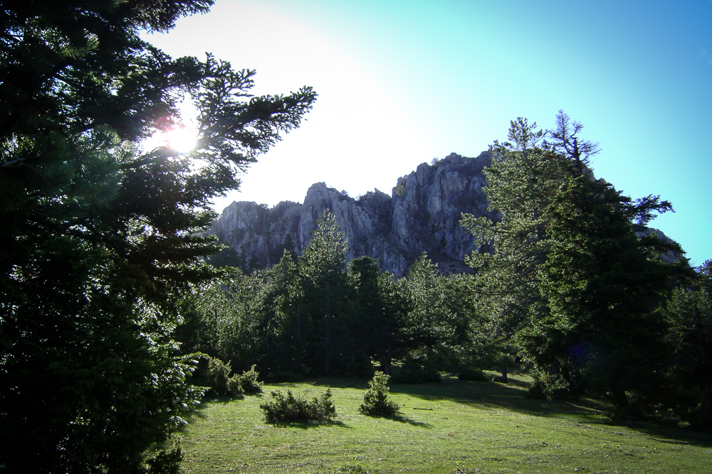 Όρλιακας - Πορτίτσα: Γνωρίζοντας τα ορεινά των Γρεβενών (εικόνες) - Φωτογραφία 6