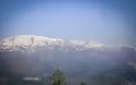 Όρλιακας - Πορτίτσα: Γνωρίζοντας τα ορεινά των Γρεβενών (εικόνες) - Φωτογραφία 13
