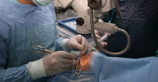 Διοικητής νοσοκομείου Αγρινίου: «Θα αποδοθούν ευθύνες για την ακύρωση των χειρουργείων καταρράκτη» - Φωτογραφία 1