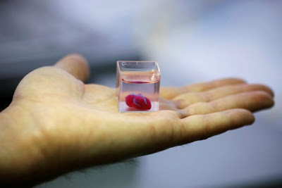 Επιστήμονες «τύπωσαν» την πρώτη 3D καρδιά από ανθρώπινο ιστό - Φωτογραφία 1
