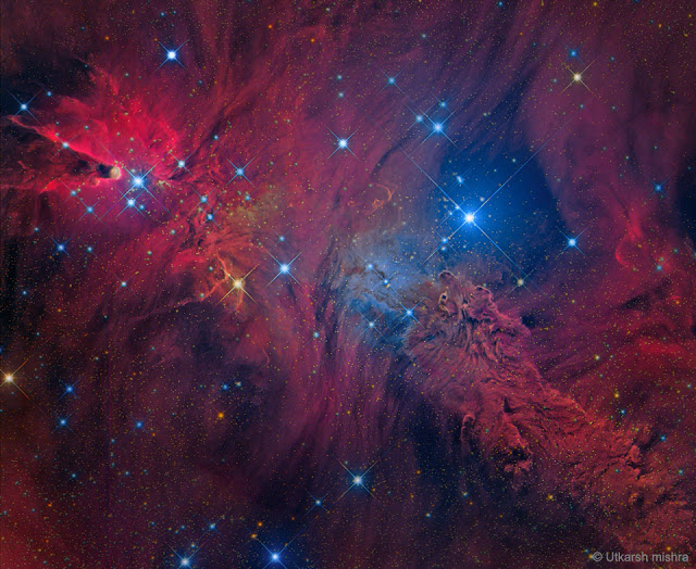 In the Vicinity of the Cone Nebula - Φωτογραφία 1