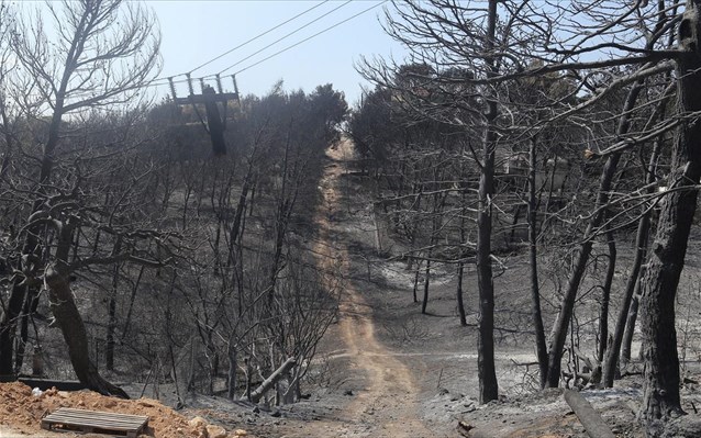 FAZ: Ο κίνδυνος νέων πυρκαγιών «απειλή» για τον ΣΥΡΙΖΑ - Φωτογραφία 1
