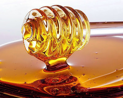Το μέλι έχει σημαντικό ρόλο στην πρόληψη και καταπολέμηση της παχυσαρκίας - Φωτογραφία 1