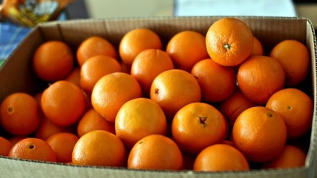 Δέσμευση 1,5 τόνου πορτοκαλιών σε επιχείρηση στου Ρέντη - Φωτογραφία 1