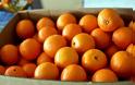 Δέσμευση 1,5 τόνου πορτοκαλιών σε επιχείρηση στου Ρέντη