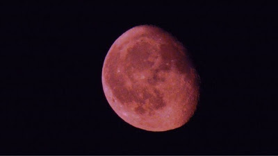 Απόψε στις 8 η εντυπωσιακή Ροζ Πανσέληνος του Απριλίου - Φωτογραφία 1