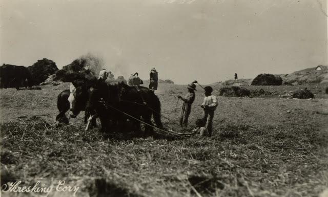 Σπάνιες φωτογραφίες της ΠΑΛΑΙΡΟΥ το 1931,  τραβηγμένες από το Αγγλικό πολεμικό πλοίο «HMS London» - Φωτογραφία 8