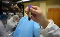 Ρώσοι επιστήμονες βρήκαν αρχαίο πουλάρι με υγρό αίμα και τώρα θέλουν να το... κλωνοποιήσουν - Φωτογραφία 2