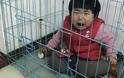 Απάνθρωπο: Πατέρας κρατάει την κορούλα του στο κλουβί του σκύλου για να εκδικηθεί την πρώην γυναίκα του