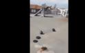 Τρίκαλα: Βίντεο ανέβασε πριν από τη μοιραία πτώση ο 15χρονος - Φωτογραφία 1