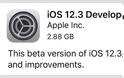 Οι 3 έκδοση beta του iOS 12.3, watchOS 5.2.1, tvOS 12.3 και macOS 10.14.5 έχουν κυκλοφορήσει - Φωτογραφία 3