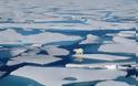 Αρκτική: «Καμπανάκι» επιστημόνων από το λιώσιμο πάγων - Θα έχει συνέπειες 70 τρισ. δολαρίων