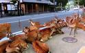 Ελάφια βολτάρουν στους δρόμους και χαζεύουν βιτρίνες - Φωτογραφία 3