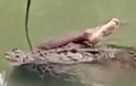 Βίντεο-σοκ: Κροκόδειλος περιπλανιέται σε λίμνη έχοντας στα σαγόνια του ένα ανθρώπινο πόδι