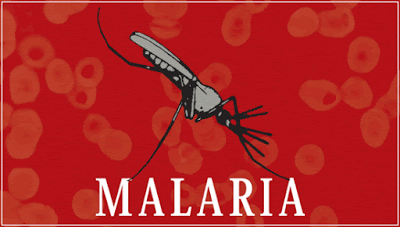 Παγκόσμια Ημέρα κατά της Ελονοσίας 25 Απριλίου - Φωτογραφία 2