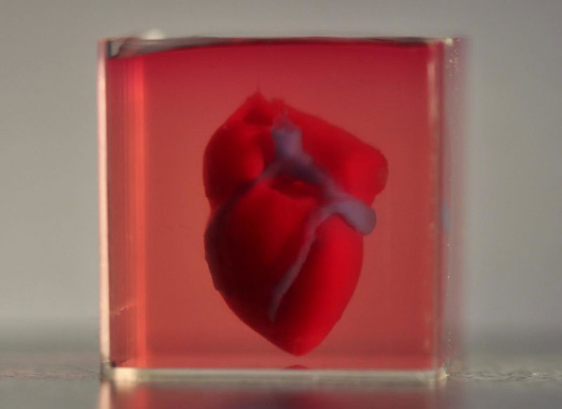 Ερευνητές κατασκεύασαν την πρώτη 3D printed καρδιά από κύτταρα - Φωτογραφία 1