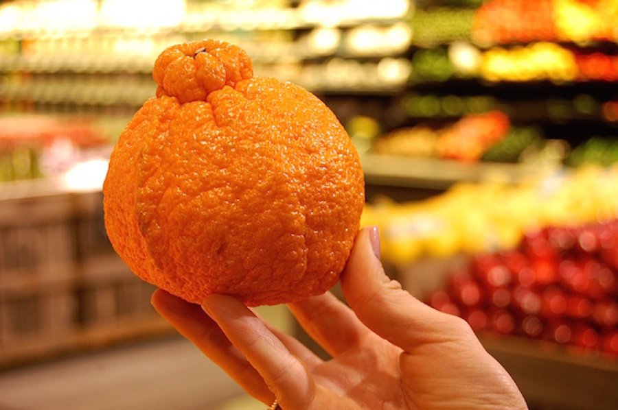 Τι είναι τα πορτοκάλια Sumo και γιατί βρίσκονται παντού - Φωτογραφία 1