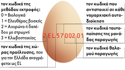 Τι πρέπει να ξέρουμε για τα αυγά; Πώς ξεχωρίζουμε το φρέσκο αυγό; - Φωτογραφία 2