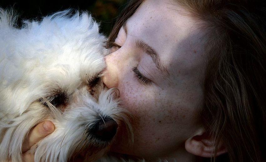 Η απώλεια ενός σκύλου πληγώνει όσο η απώλεια ενός αγαπημένου ανθρώπου σύμφωνα με έρευνα - Φωτογραφία 1