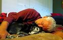 Η απώλεια ενός σκύλου πληγώνει όσο η απώλεια ενός αγαπημένου ανθρώπου σύμφωνα με έρευνα - Φωτογραφία 2