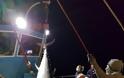 Έπιασαν τόνο - γίγαντα 2,74 μέτρων στην Νάξο - Δείτε φωτογραφίες - Φωτογραφία 4
