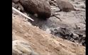 Οικολογικό έγκλημα στη Μύκονο: Λύματα μολύνουν πολυσύχναστες παραλίες - Φωτογραφία 3