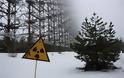 «Μαύρη» επέτειος του Τσερνόμπιλ: Πώς είναι 33 χρόνια μετά η τοποθεσία του «πυρηνικού εφιάλτη» - Φωτογραφία 15