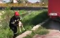 Πυροσβέστες διέσωσαν σκυλάκι από ποτάμι