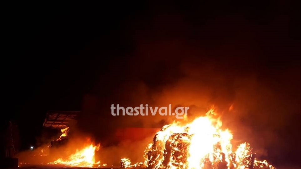 Φωτιά σε εργοστάσιο ανακύκλωσης - Φωτογραφία 1