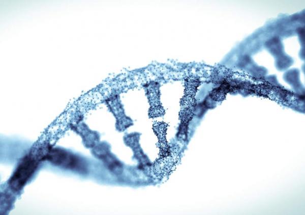 DNA: 66 χρόνια από τη μεγαλύτερη επιστημονική ανακάλυψη του 20ού αι. - Φωτογραφία 2