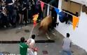 Ισπανία: 74χρονος σκοτώθηκε από χτυπήματα ταύρου σε τοπικό φεστιβάλ