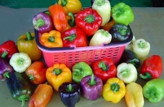 Χρωματιστές πιπεριές: Τα εξαιρετικά θρεπτικά συστατικά τους - Φωτογραφία 1