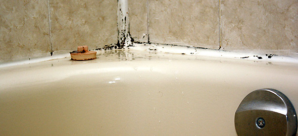 Έπιασε μούχλα στο μπάνιο σας; Δείτε πώς θα απαλλαγείτε από αυτήν με ένα απλό κόλπο - Φωτογραφία 1