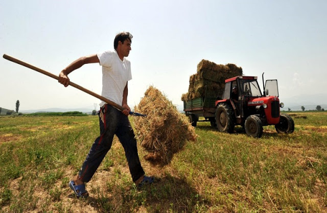 Ρύθμιση οφειλών για αγρότες: Ελάχιστη δόση τα 30 ευρώ και κούρεμα των προσαυξήσεων κατά 100% - Φωτογραφία 1