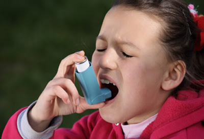 Άσθμα, μια σύγχρονη επιδημία. Παγκόσμια Ημέρα Άσθματος - Φωτογραφία 2